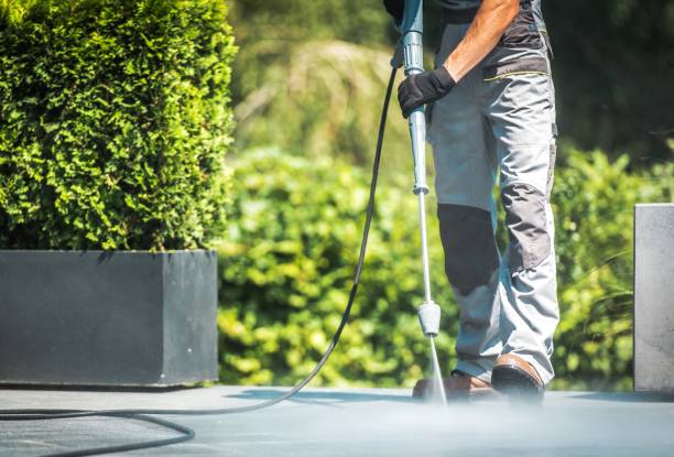 Best Sidewalk and Walkway Pressure Cleaning in Tarpon Springs, FL